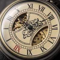 Wooden Bezel Skeleton Pocket Watch