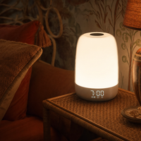 Sunrise Alarm Clock Night Light