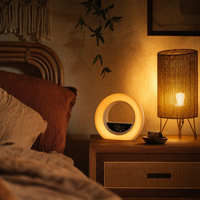 Digital Sunrise Alarm Clock