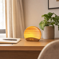 Sunrise Alarm Clock Wireless Charging