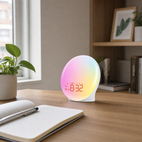 Sunrise Alarm Clock Digital Display