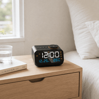 Royal Opera Alarm Clock FM Radio Snooze
