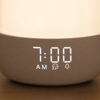 Royal Opera Sunrise Alarm Clock Night Light